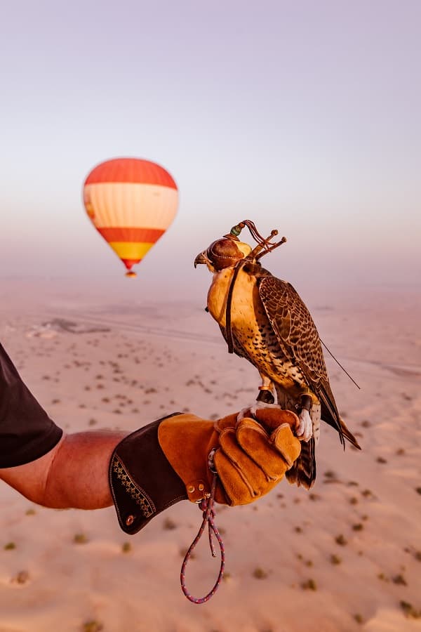 Hot Air Balloon Classic Experience - clicktoguide