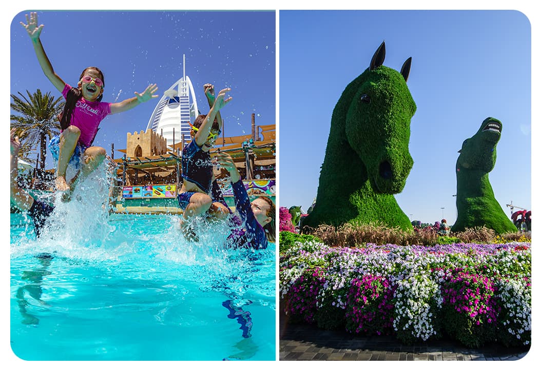 Wild Wadi Waterpark (General Admission) + Dubai Miracle Garden - clicktoguide
