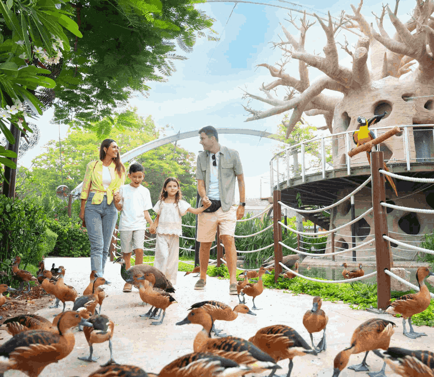 Dubai Safari Park - Day Pass - clicktoguide
