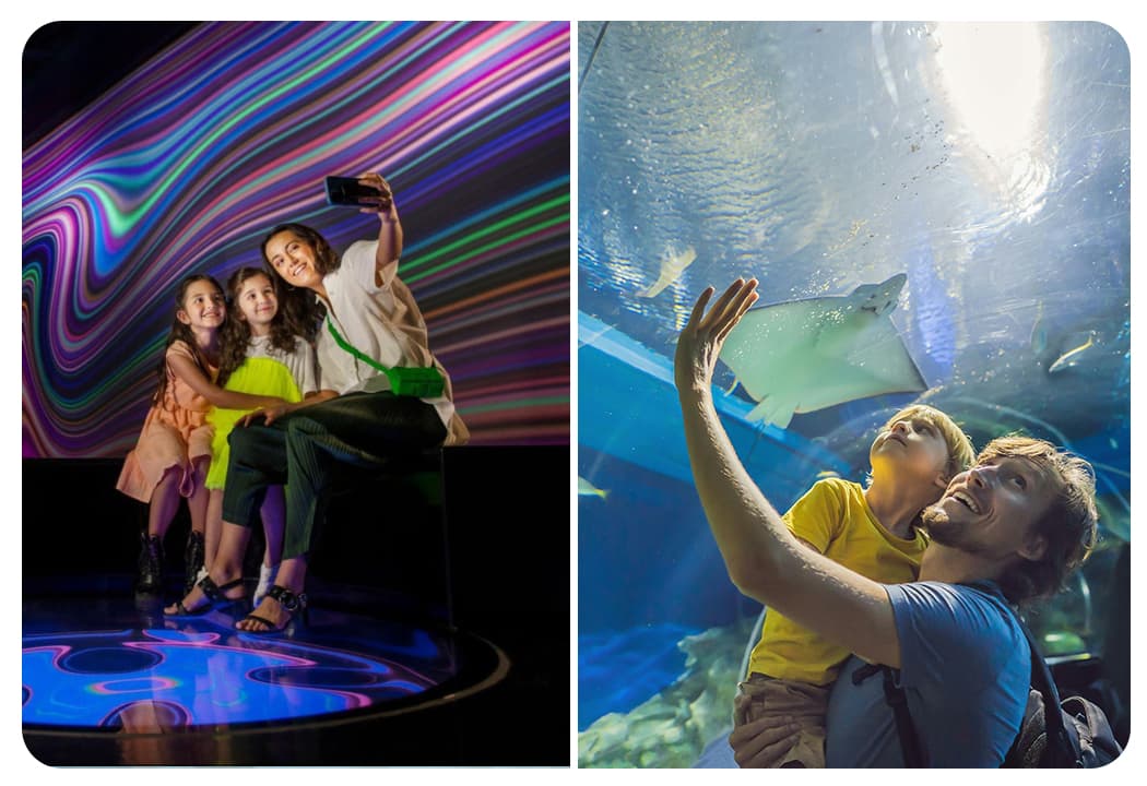 AYA Universe + Dubai Aquarium Underwater Zoo (Silver Pass) - clicktoguide