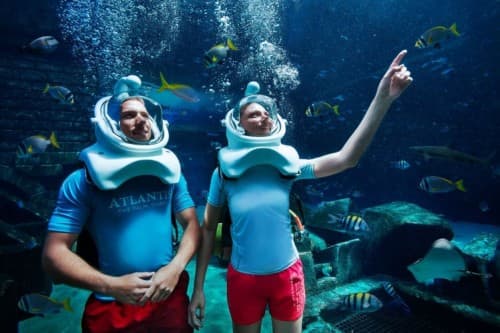 Atlantis Aquatrek Xtreme - clicktoguide