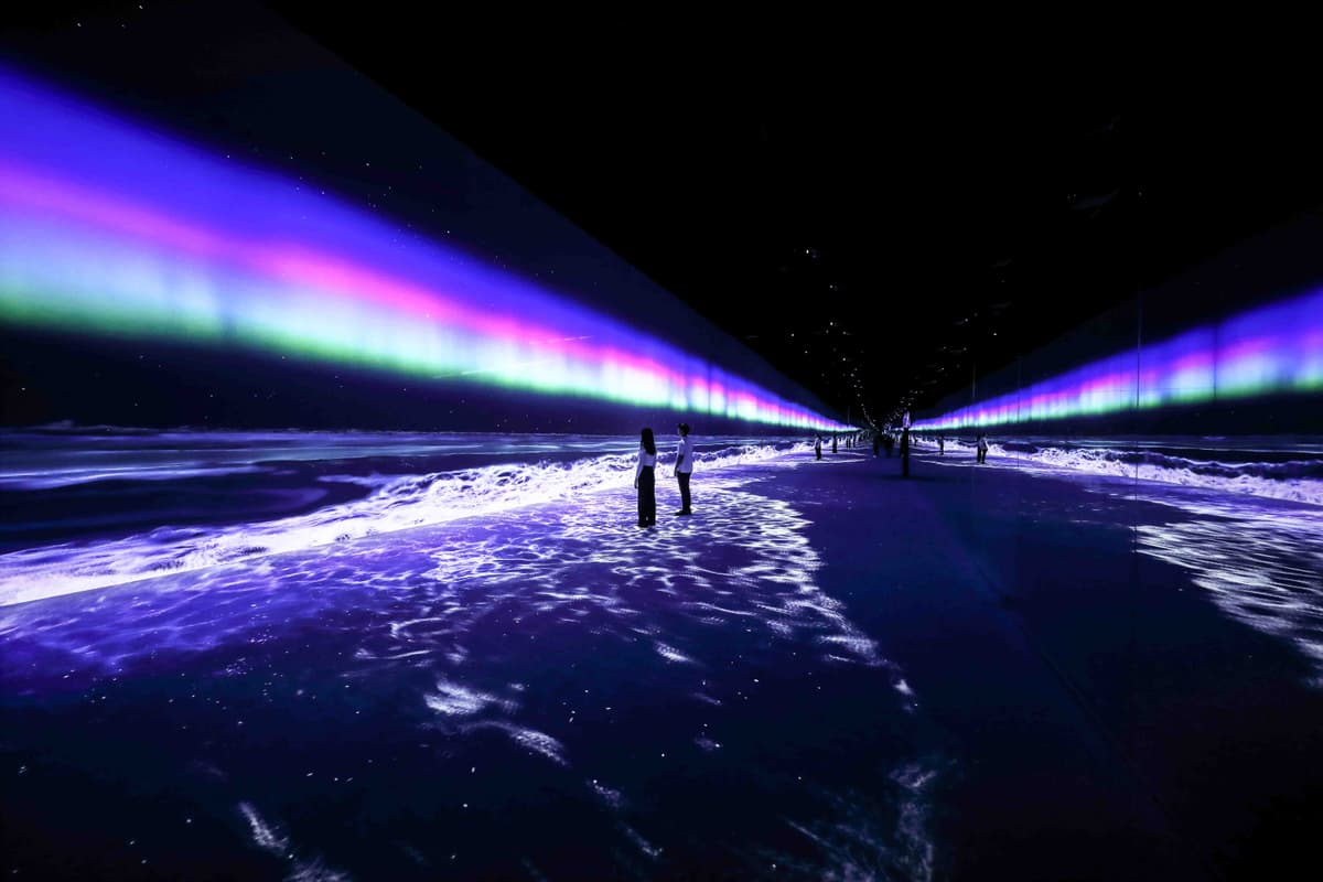 Arte Museum - clicktoguide
