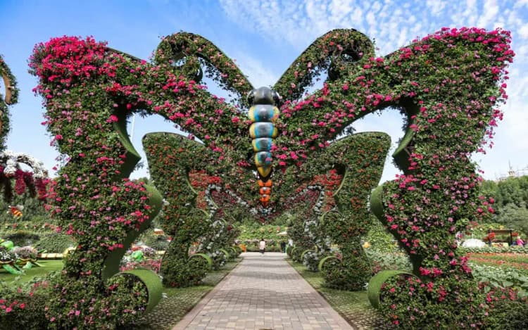 Interior floral design at Dubai Butterfly Garden shaped like a butterfly line with colorful flowers.