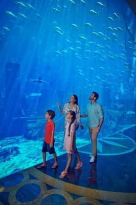 Fish Tales Tour Lost Chambers Aquarium - clicktoguide