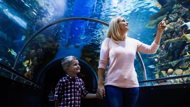Aquarium & Wax Museum