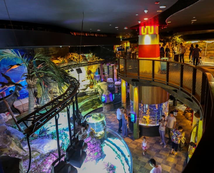 The Dubai Mall Aquarium Underwater Zoo, showcasing diverse marine life in a vast, immersive aquatic environment.