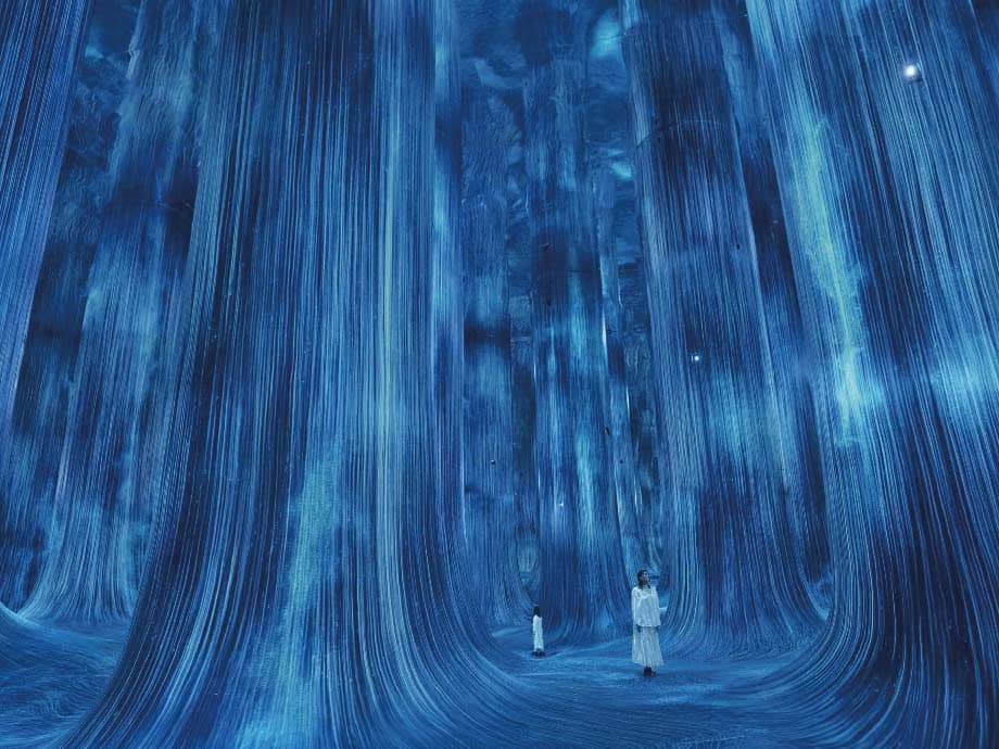 Teamlab Phenomena - clicktoguide