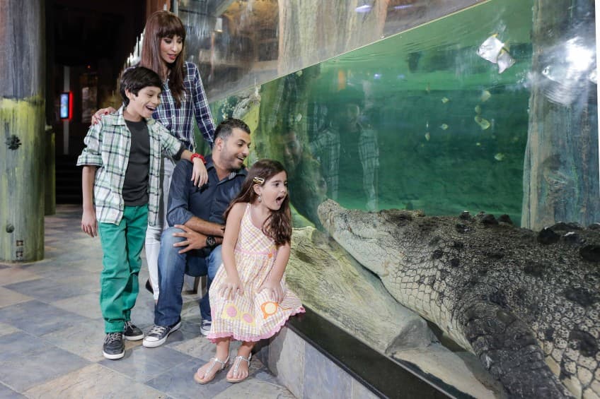 A family observes an alligator in the Dubai Mall Aquarium and Underwater Zoo, featuring the King Croc exhibit.