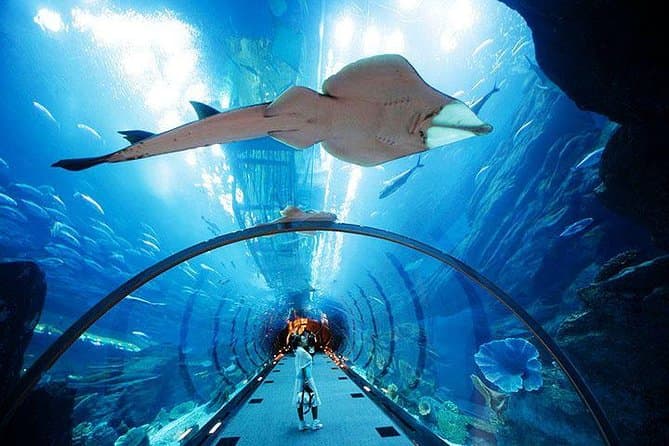 Burj Khalifa 124 + Dubai Aquarium - clicktoguide
