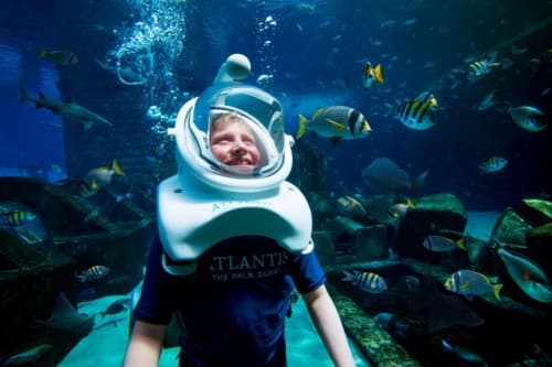 A child in a scuba helmet explores an aquarium during the Aqua Trek Xtreme Boy Experience.