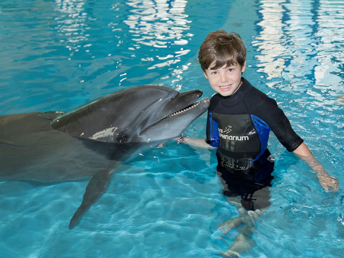 Kid interacting and playing with a dolphin during a dolphin interaction experience.