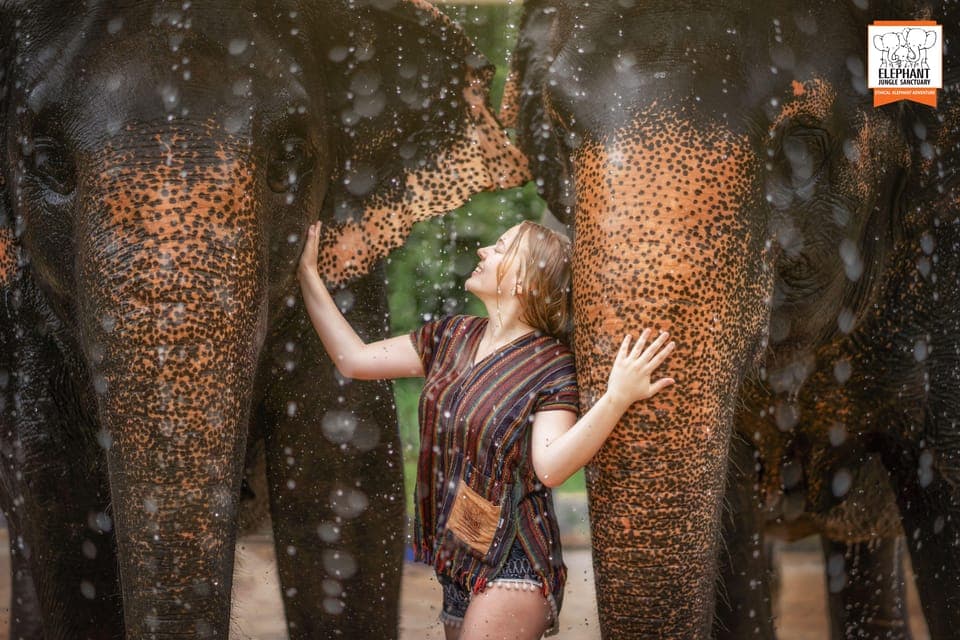 Elephant Jungle Sanctuary Visit with Meal - clicktoguide