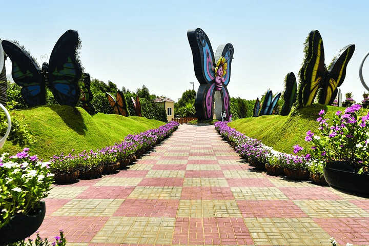 Walking pathway inside the Dubai Butterfly Garden surrounded by lush plants and butterflies