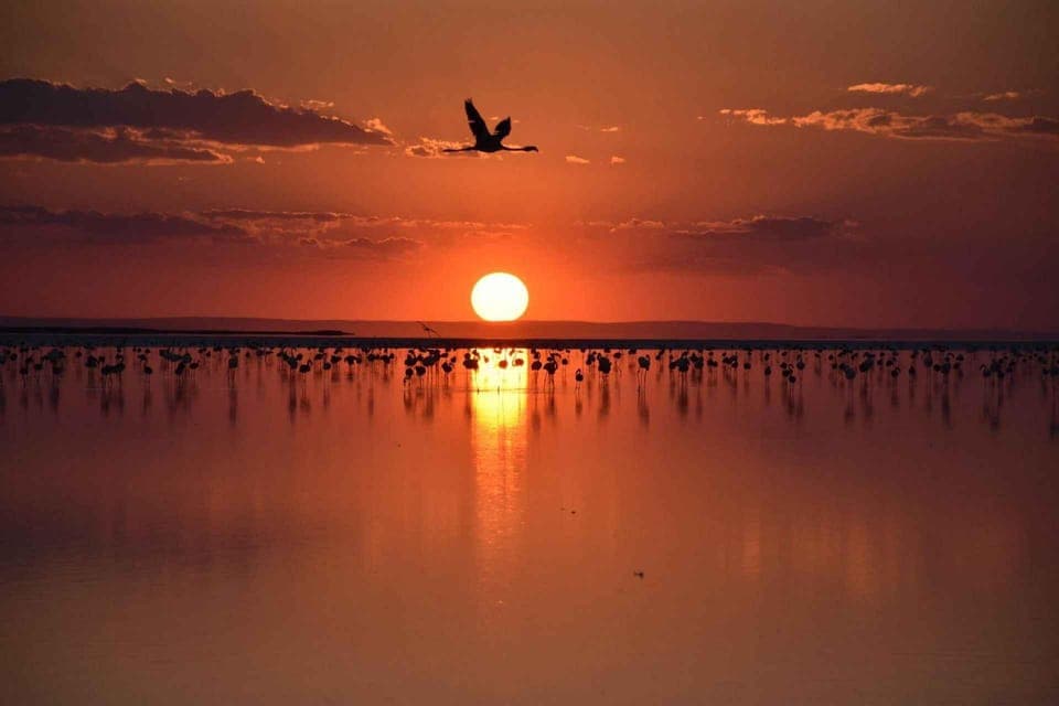 Sunset Tour to Salt Lake