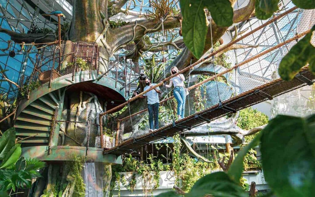 Family taking photos together inside The Green Planet Dubai surrounded by tropical plants and rainforest wildlife