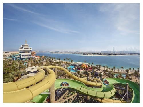 A vibrant water park at Dolphin Kayak Dubai featuring various water slides and attractions for visitors to enjoy.