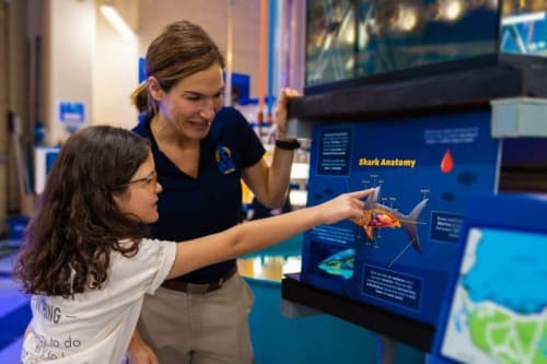 A woman and a child observe an aquarium display during the Fish Tales Tour Shark Education event.