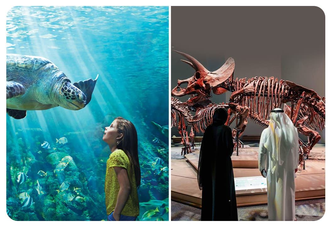 SeaWorld Abu Dhabi + Natural History Museum Abu Dhabi - clicktoguide