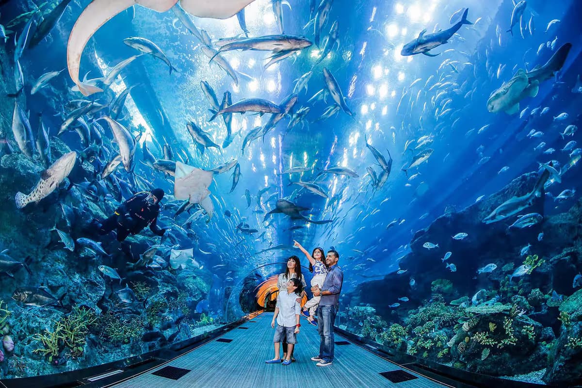 Dubai Aquarium Experience With Family