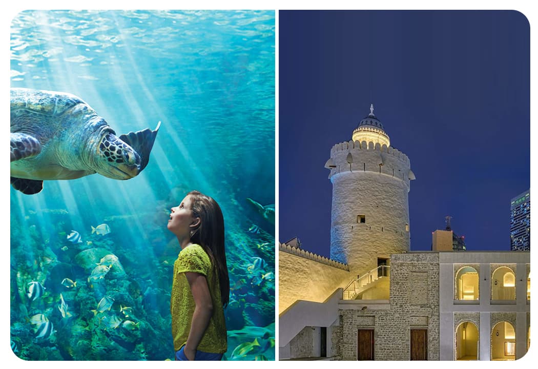 SeaWorld Abu Dhabi + Free Qasr Al Hosan - clicktoguide