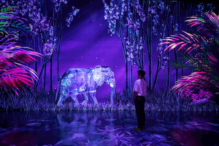 A man stands in front of a large purple elephant at the Arte Museum, showcasing a unique blend of art and nature.