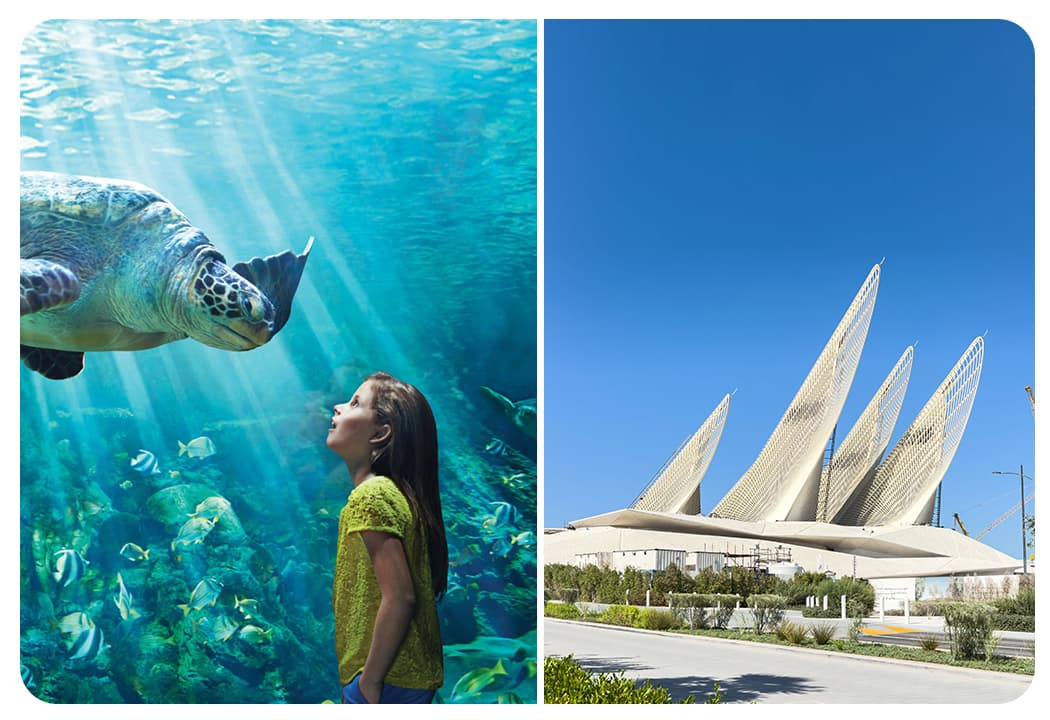 SeaWorld Abu Dhabi + Zayed National Museum Abu Dhabi - clicktoguide