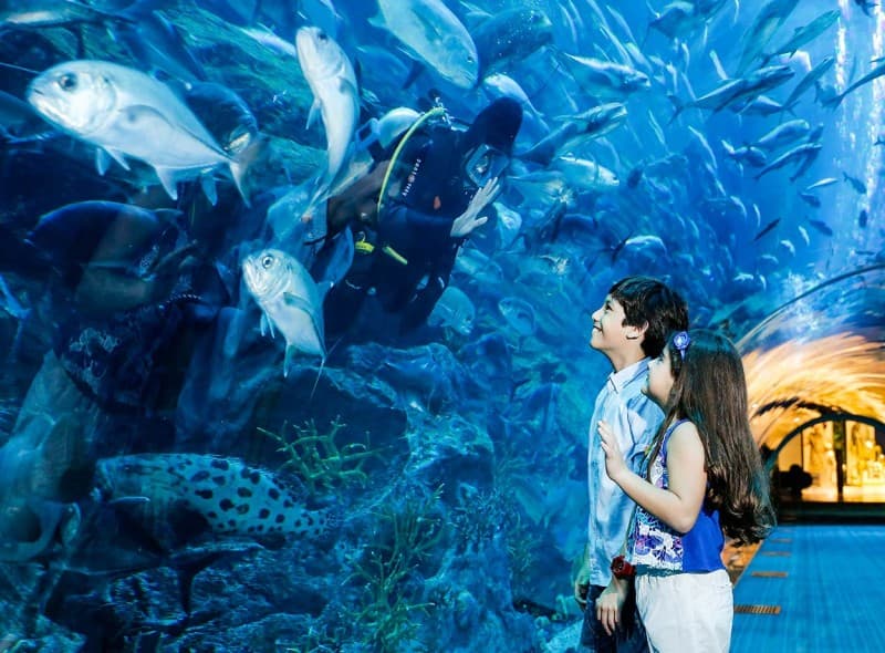 Two kids in Dubai Aquarium tunnel featuring a diver, showcasing marine life in the Dubai Mall, United Arab Emirates.