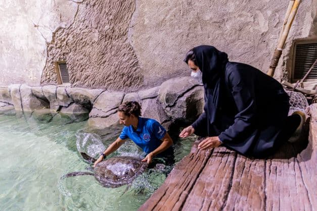 Maitha and Bea exhibit at The National Aquarium Abu Dhabi showcasing unique marine life for visitors.