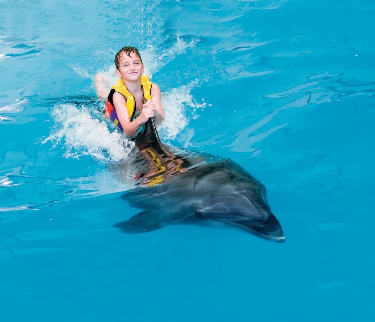 Boy swimming and interacting with a dolphin during a dolphin interaction experience