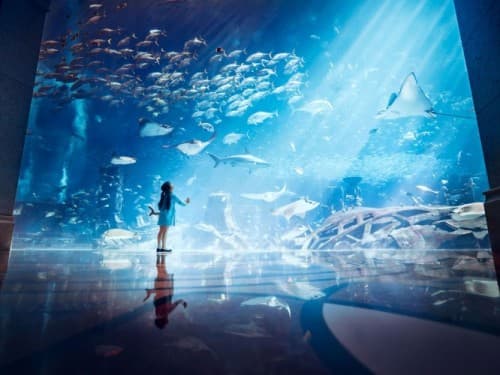 A woman stands in front of a large aquarium at Atlantis Dubai, observing the marine life inside.
