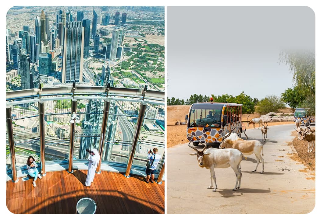 At The Top Burj Khalifa (124 Floor) Non-Prime Time + Dubai Safari Bundle - clicktoguide
