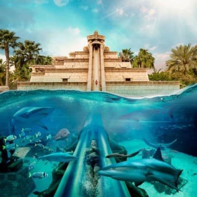 Underwater slide at Atlantis Resort, featuring the Dolphin Paddle: Poseidon, surrounded by vibrant marine life.