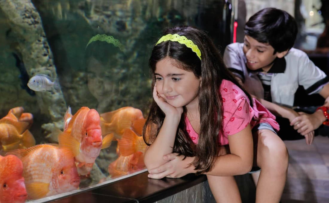 Two children observe colorful fish swimming in the Dubai Mall Aquarium's Kids Fish Tank.