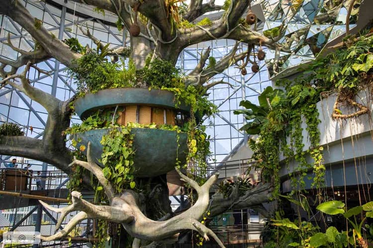 Visitors exploring the lush indoor rainforest environment at The Green Planet Dubai surrounded by tropical plants and wildlife