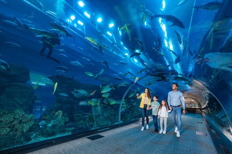 Kids Having Dubai Aquarium Tunnel Experience