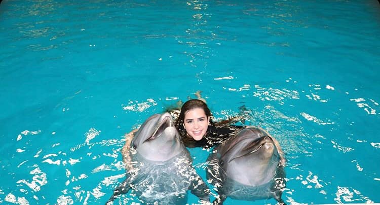 Two dolphins swimming together during a dolphin interaction experience