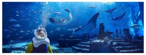 A man in a yellow suit observes fish swimming in an aquarium at Xtreme Aqua Trek.